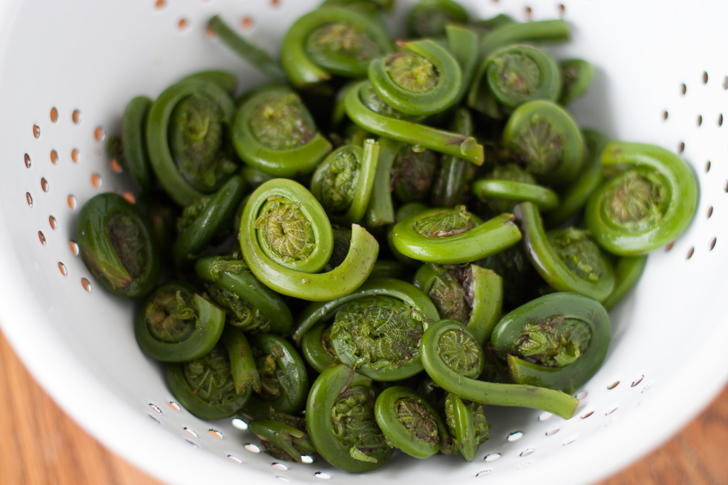 Sautéed Fiddleheads with Garlic and Dill - Mia's Daily Dish